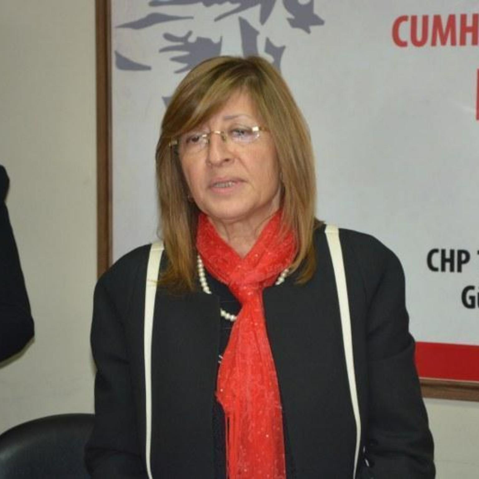 CHP'li Çetin'den orman yangınları açıklaması