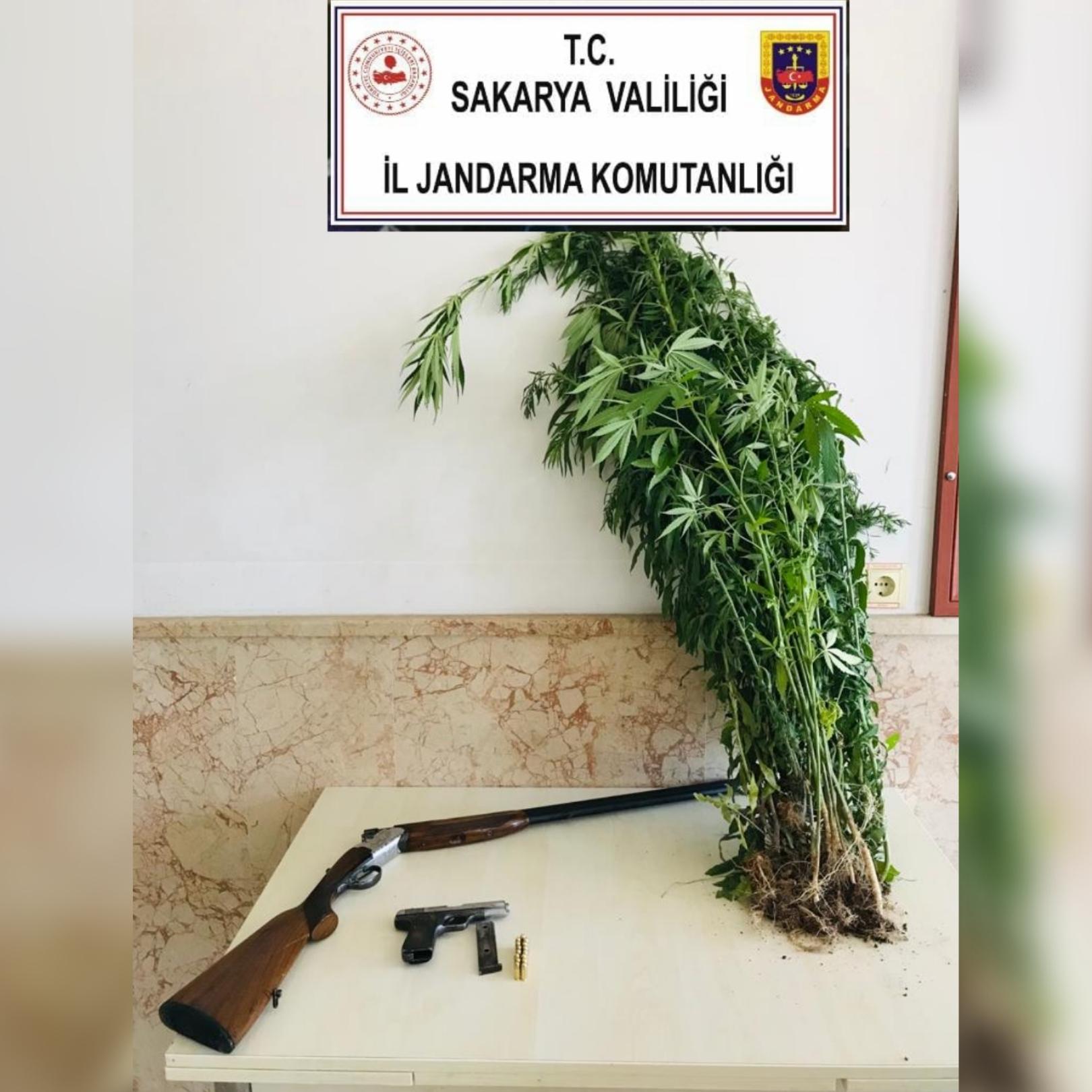 Kocaali ilçesi Şerbetpınarı mahallesinde uyuşturucu operasyonu