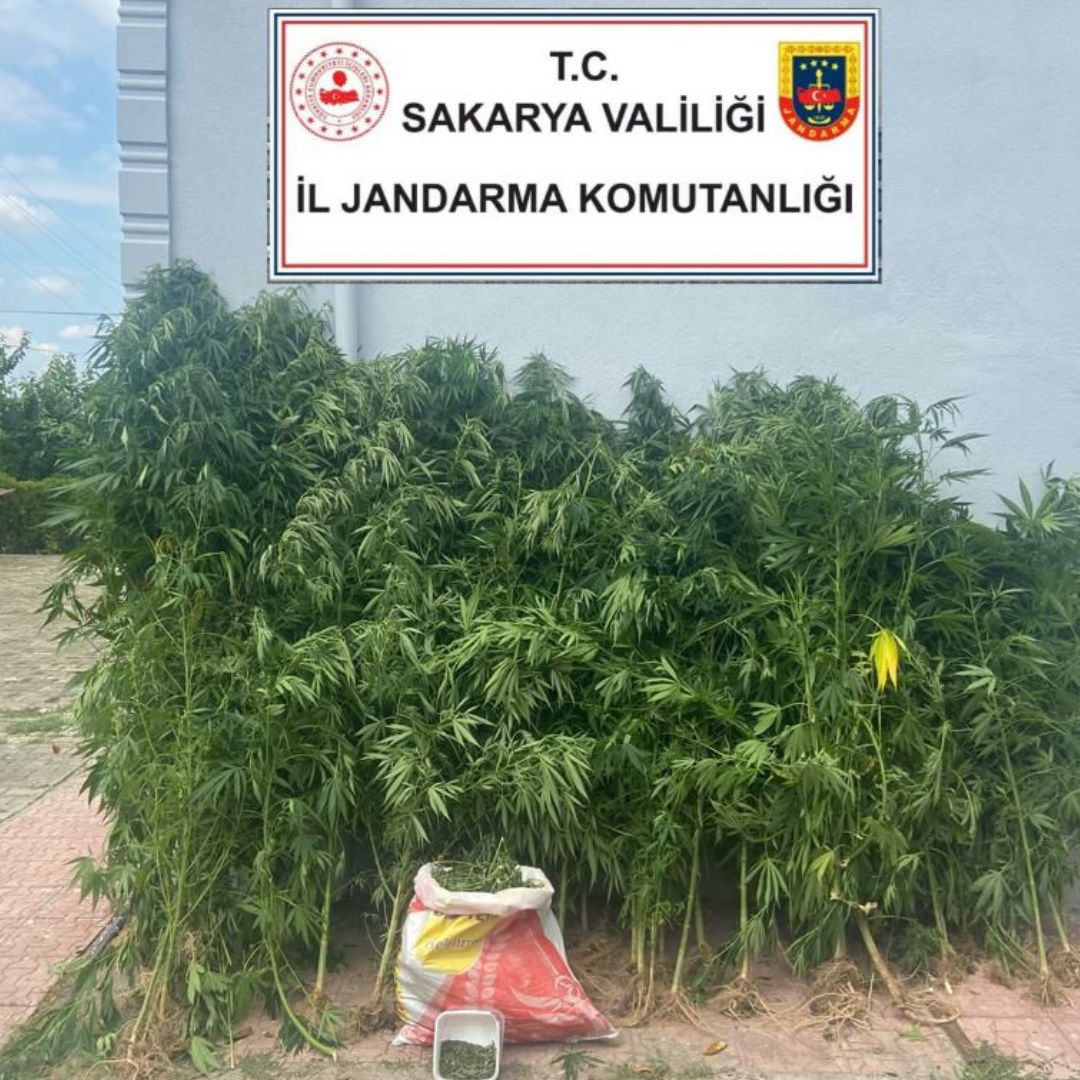 Serdivan'da uyuşturucu operasyonu