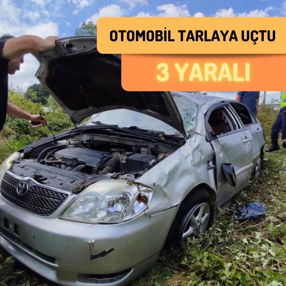 Kontrolden çıkan otomobil tarlaya uçtu: 1’i çocuk 3 yaralı