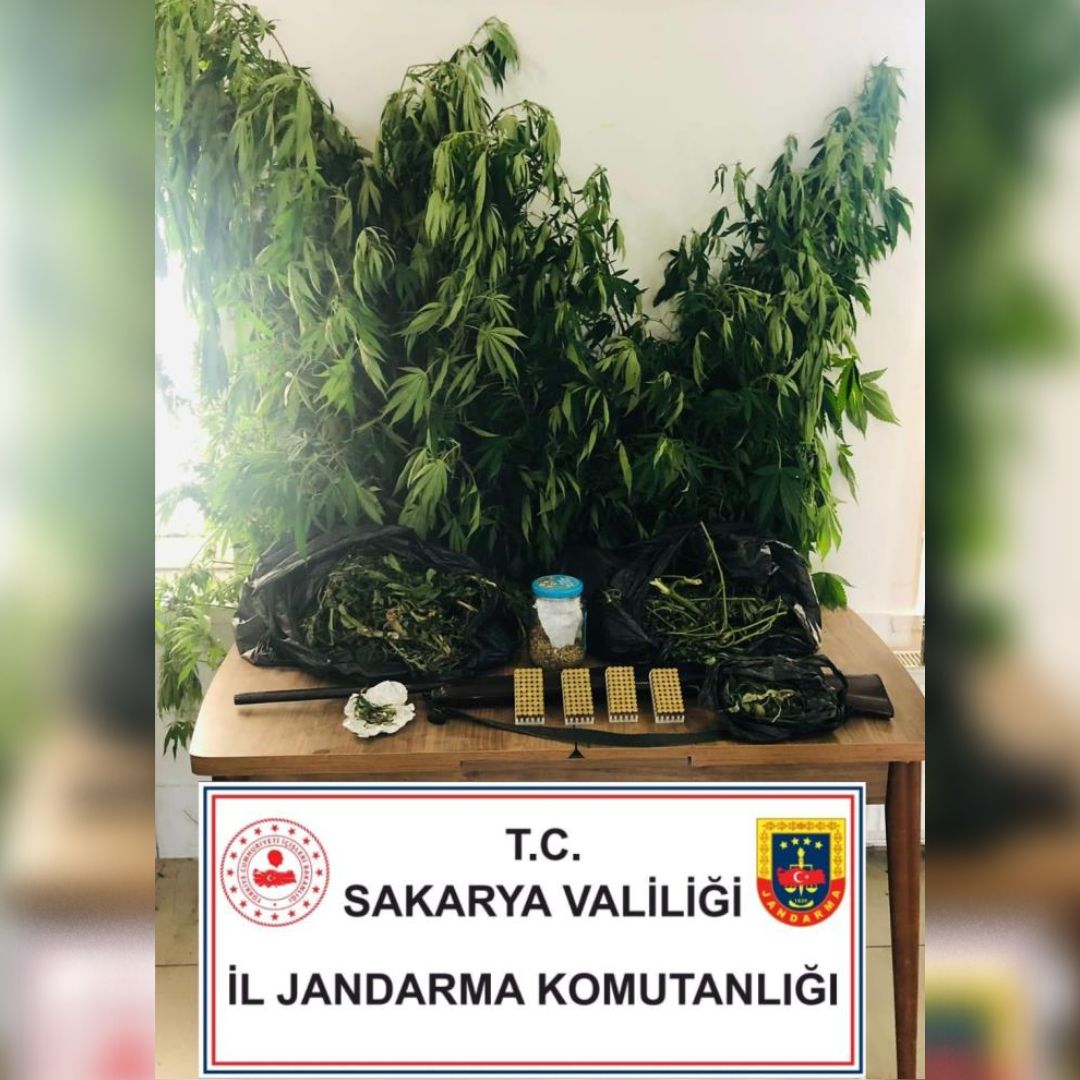 Jandarmadan uyuşturucu operasyonları: 2 gözaltı