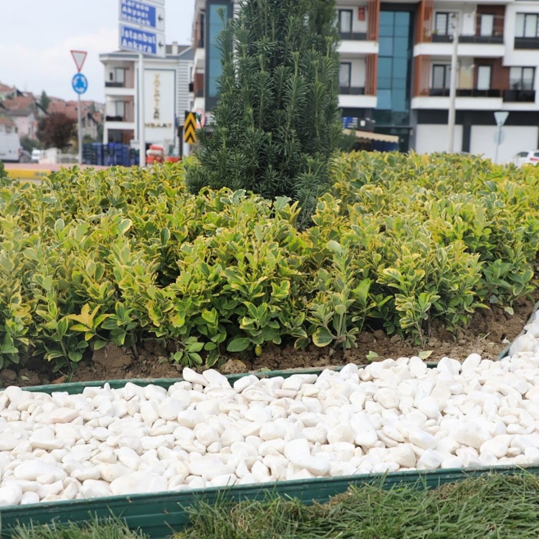 Büyükşehir dokunduğu her yere renk katıyor