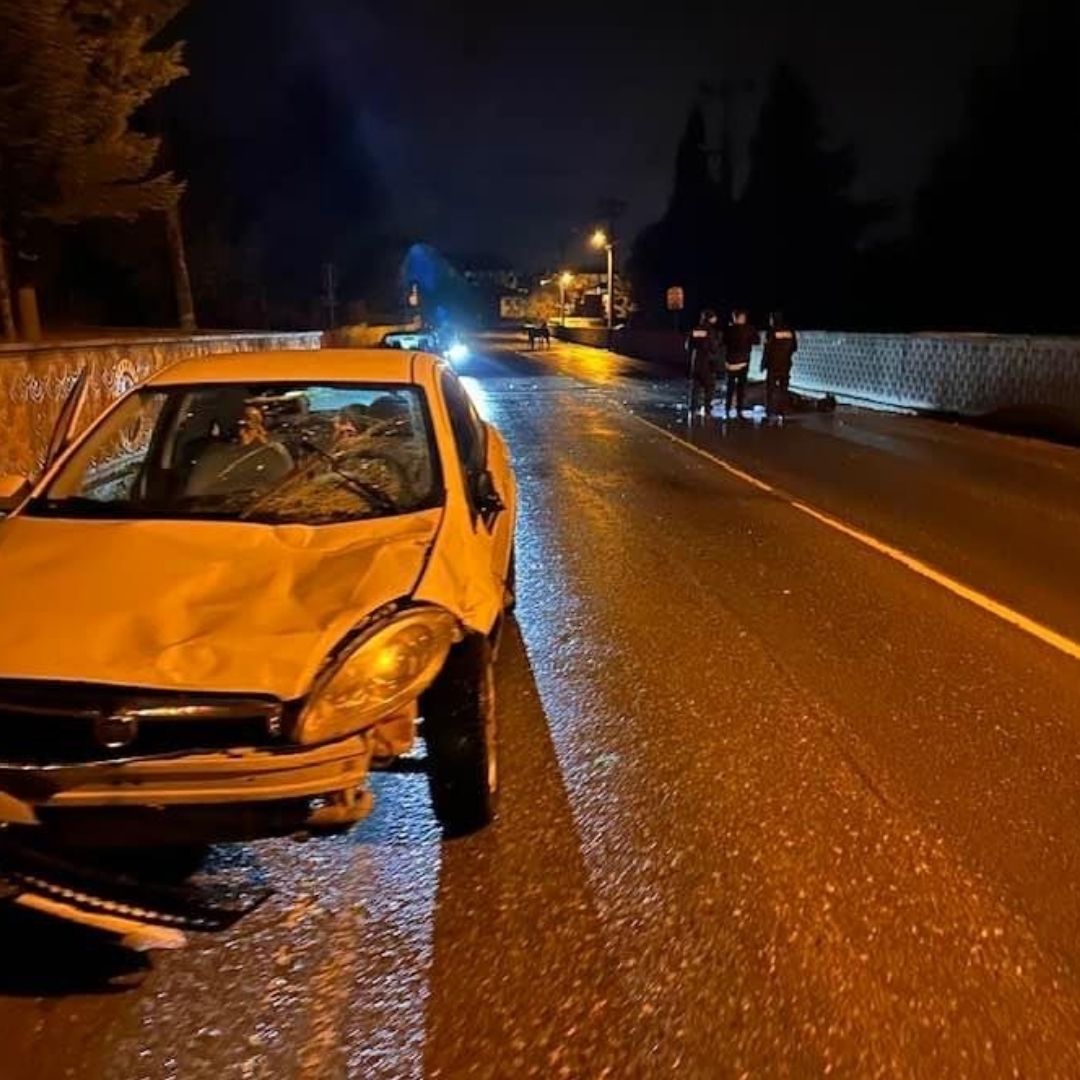 Otomobilin çarptığı at yaralandı