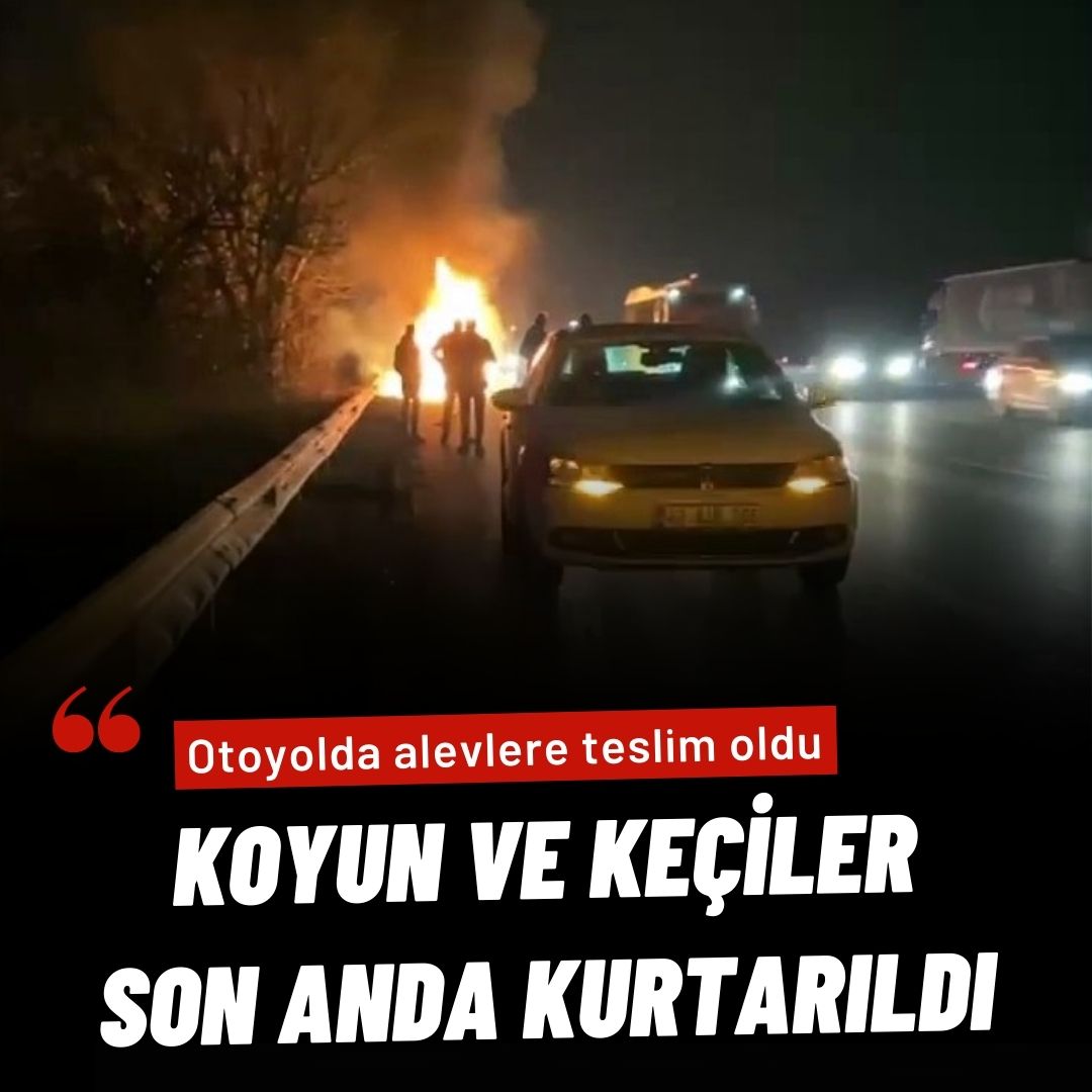 Otoyolda alevlere teslim oldu, içindeki koyun ve keçiler son anda kurtarıldı