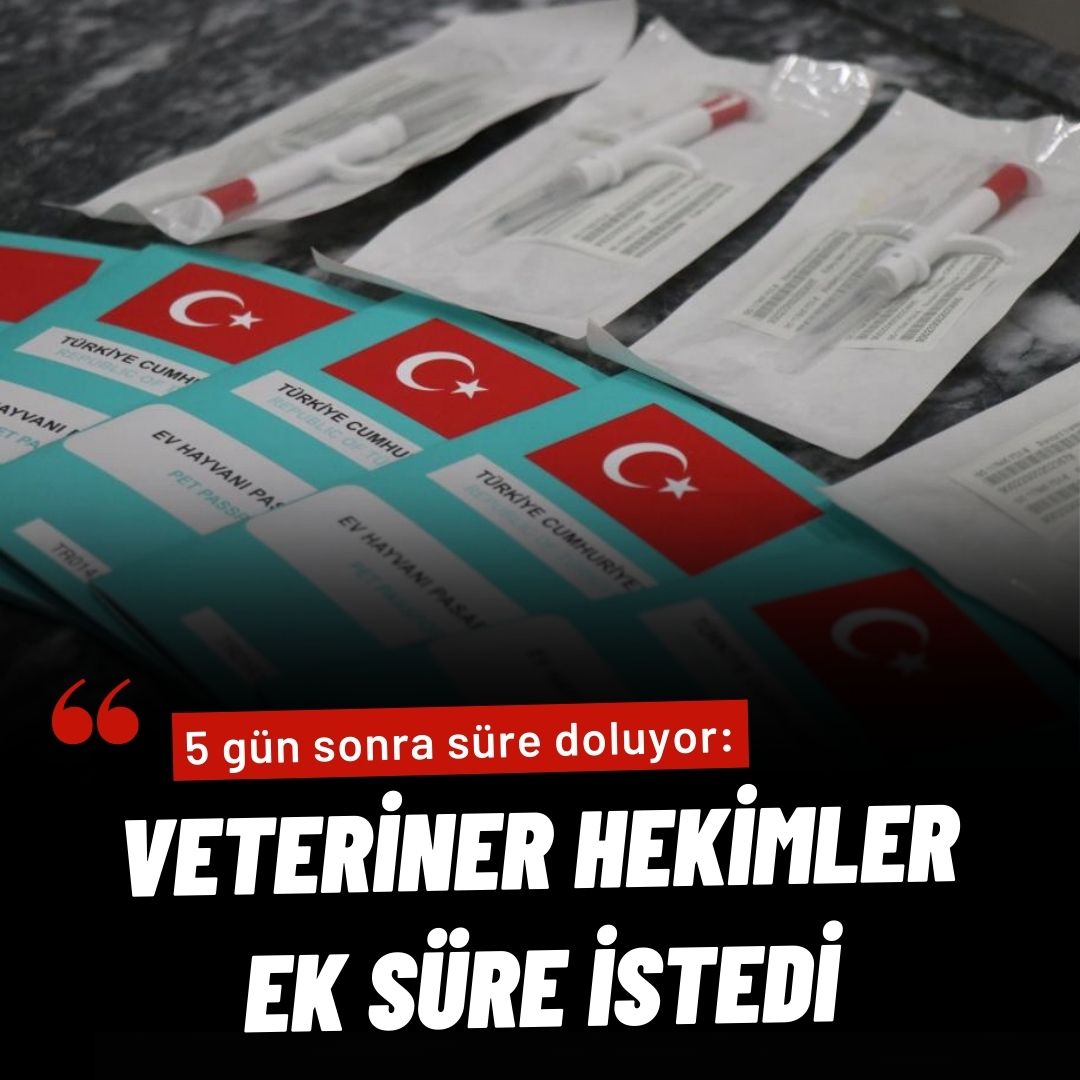 5 gün sonra süre doluyor: Veteriner hekimler ek süre istedi