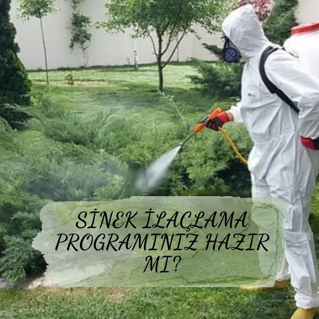 SİNEK İLAÇLAMA PROGRAMINIZ HAZIR MI?