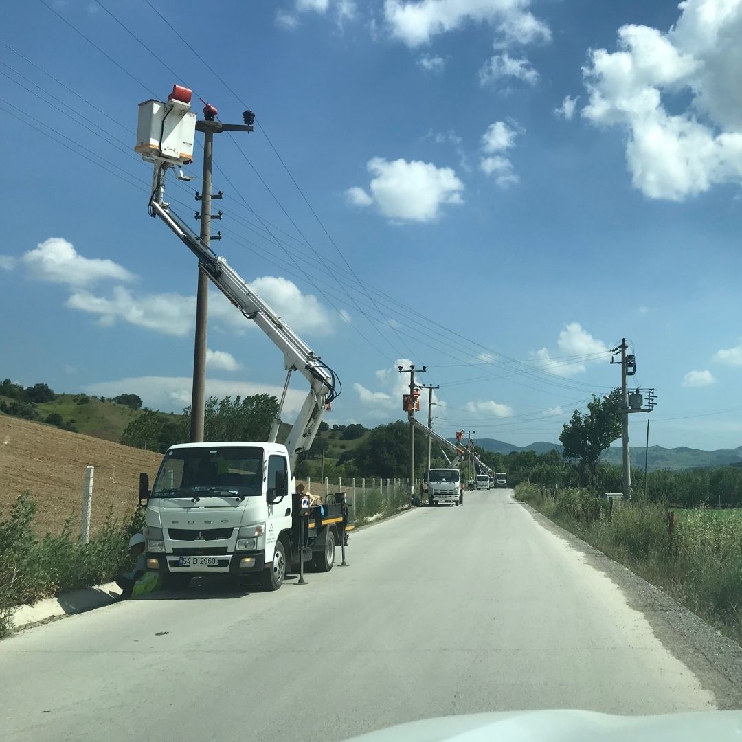 SEDAŞ, leyleklerin güvenli göç yolculuğu için önlemlerini aldı