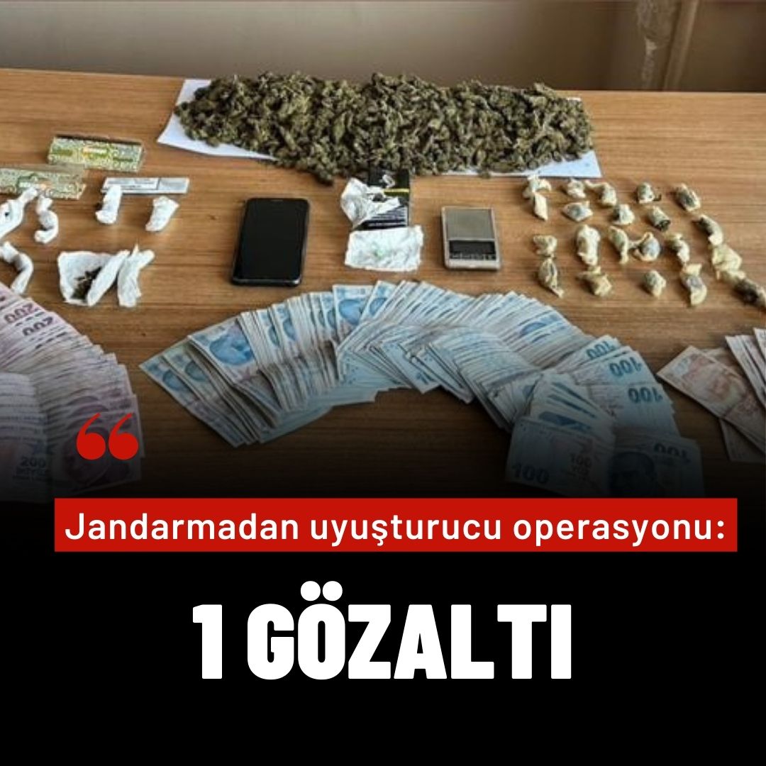 Jandarmadan uyuşturucu operasyonu: 1 gözaltı