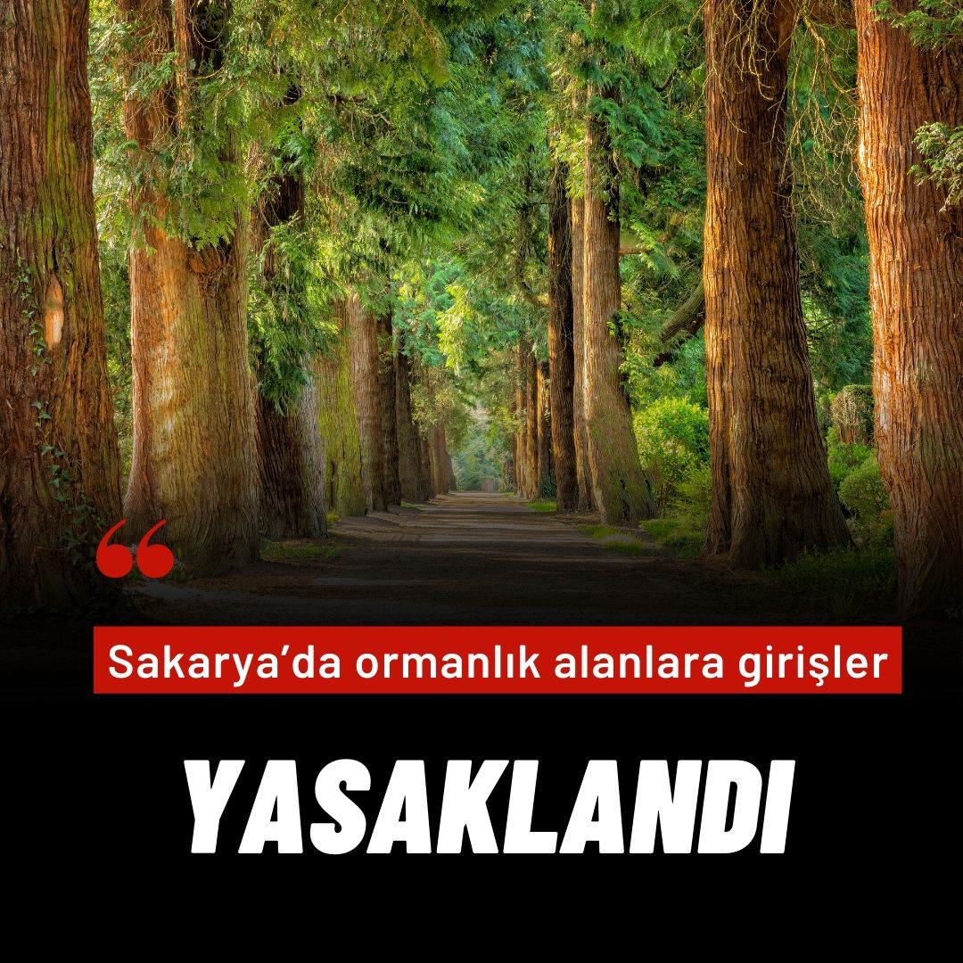 Sakarya’da ormanlık alanlara girişler yasaklandı