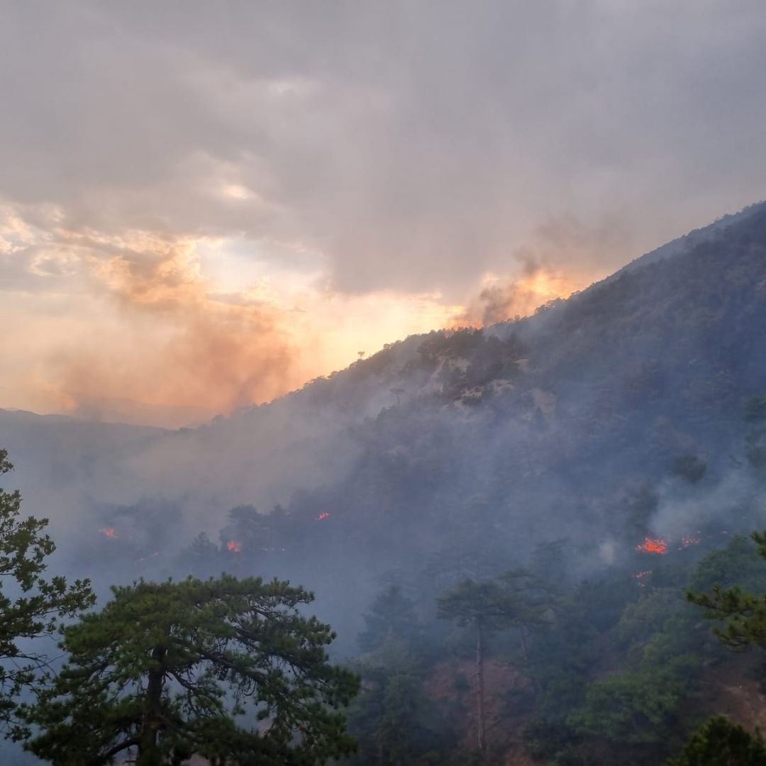 SEDAŞ, Bolu’da orman yangınına karşı seferber oldu