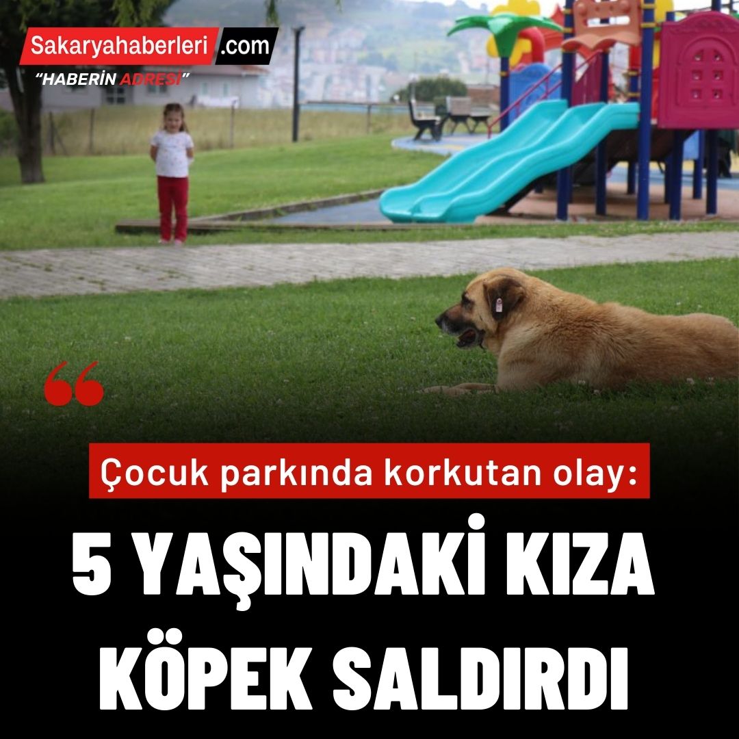 Çocuk parkında dehşet: 5 yaşındaki kız, kaydırak altında yatan köpeğin saldırısına uğradı