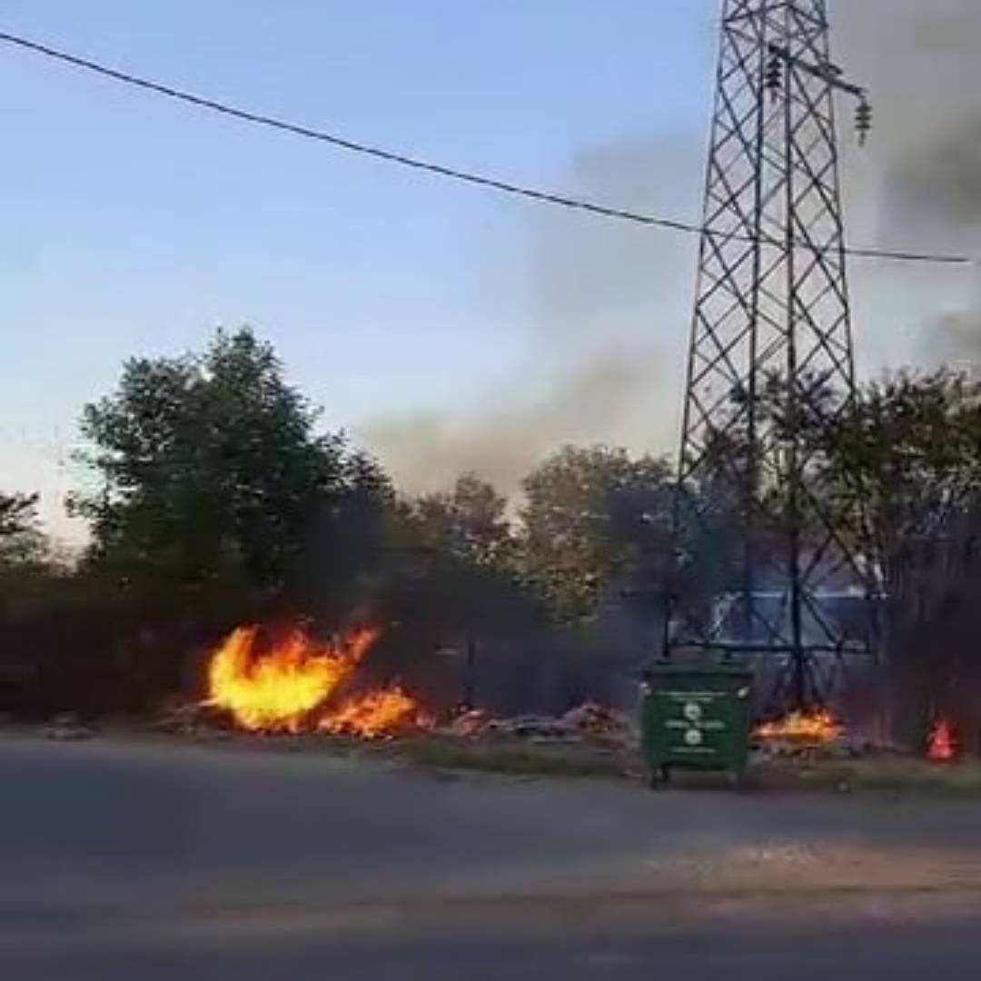 Kopan elektrik kablosu ağaçlık alanı alev alev yaktı