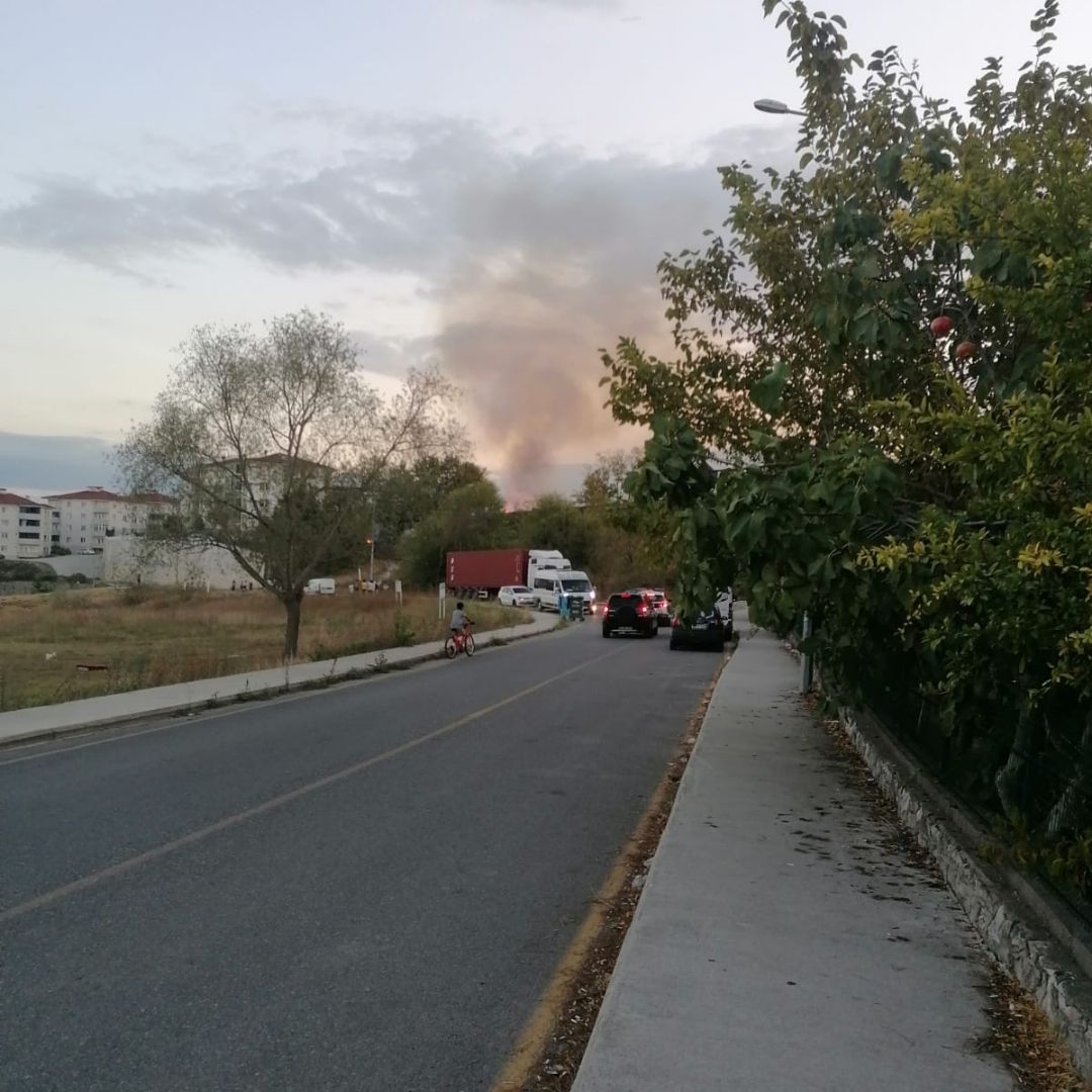 Sakarya'da korkutan yangın: Mahalleli sokağa döküldü