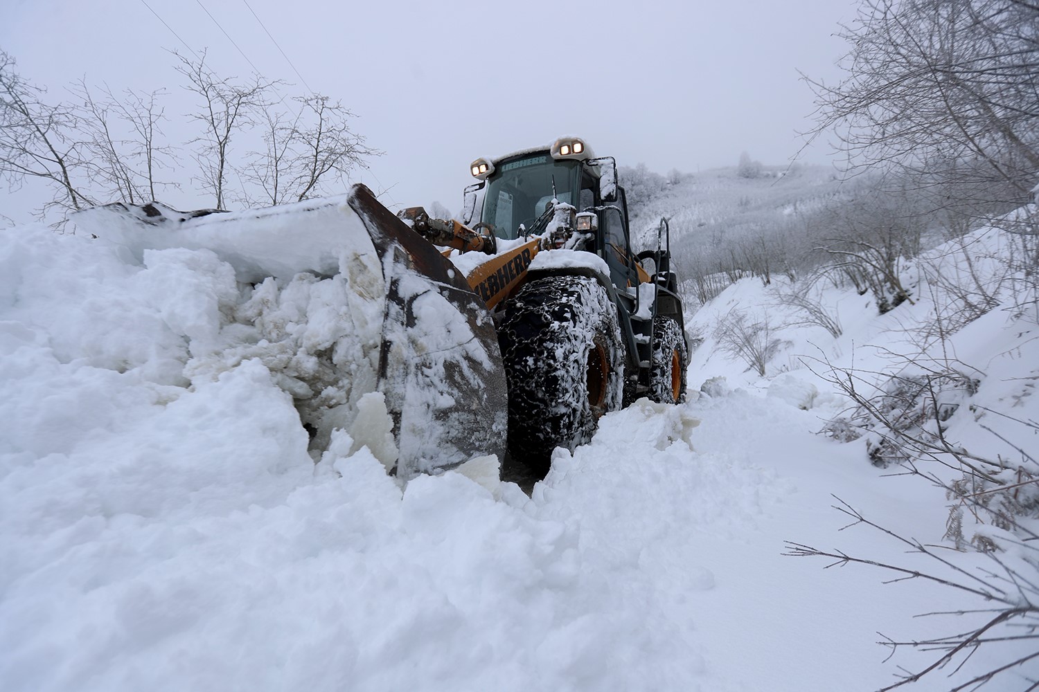 Sakarya’da kar sebebi ile kapanan 34 grup yolu ulaşıma açıldı