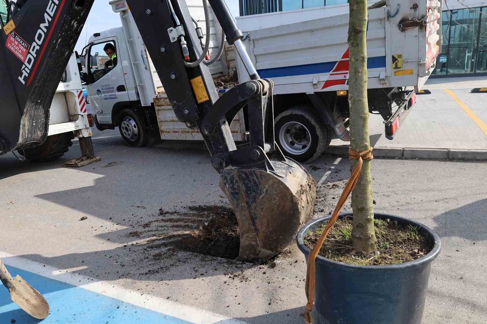 Sakarya’ya estetik dokunuş