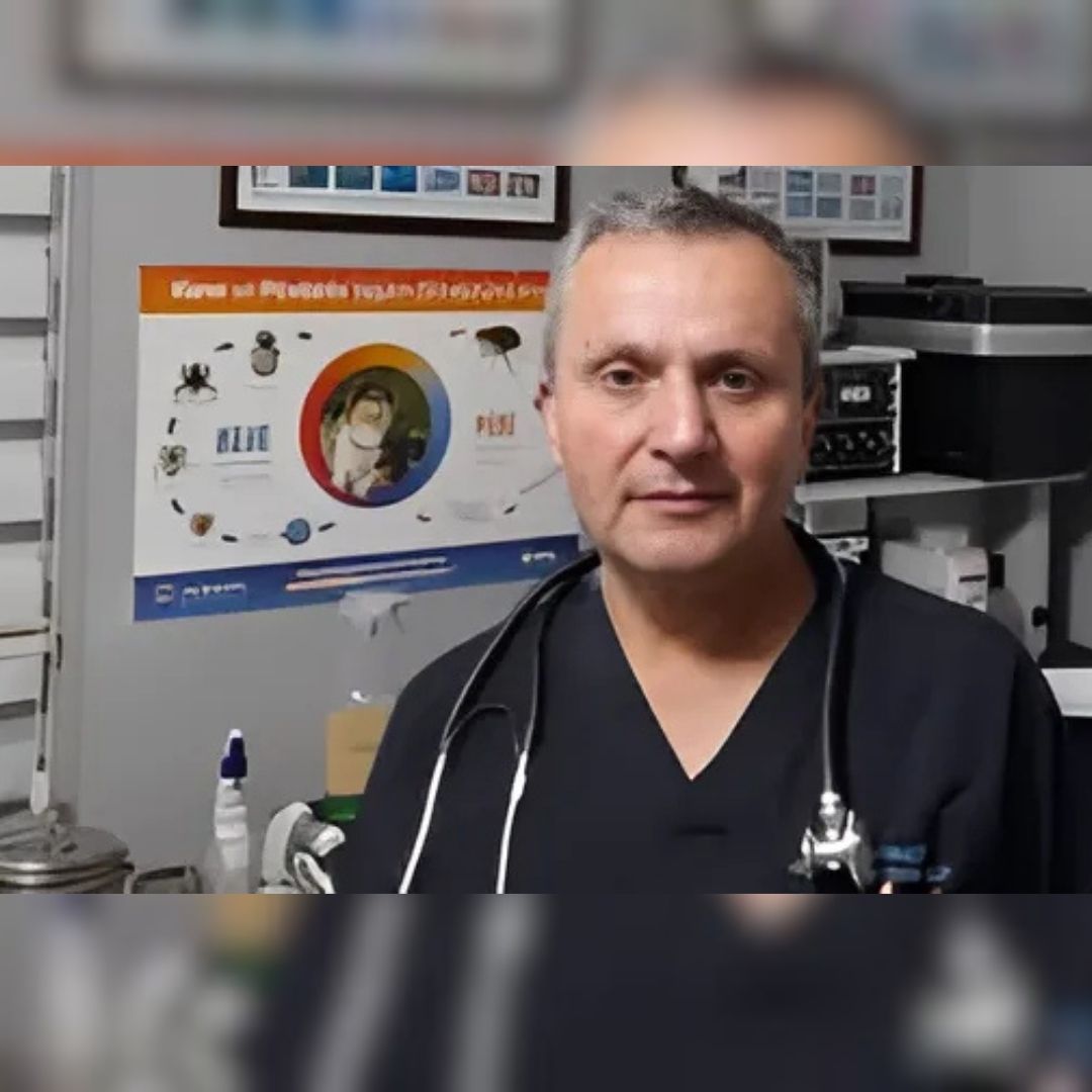 Yazla Birlikte Kene Tehlikesi Başladı: Uzmanlar Uyarıyor