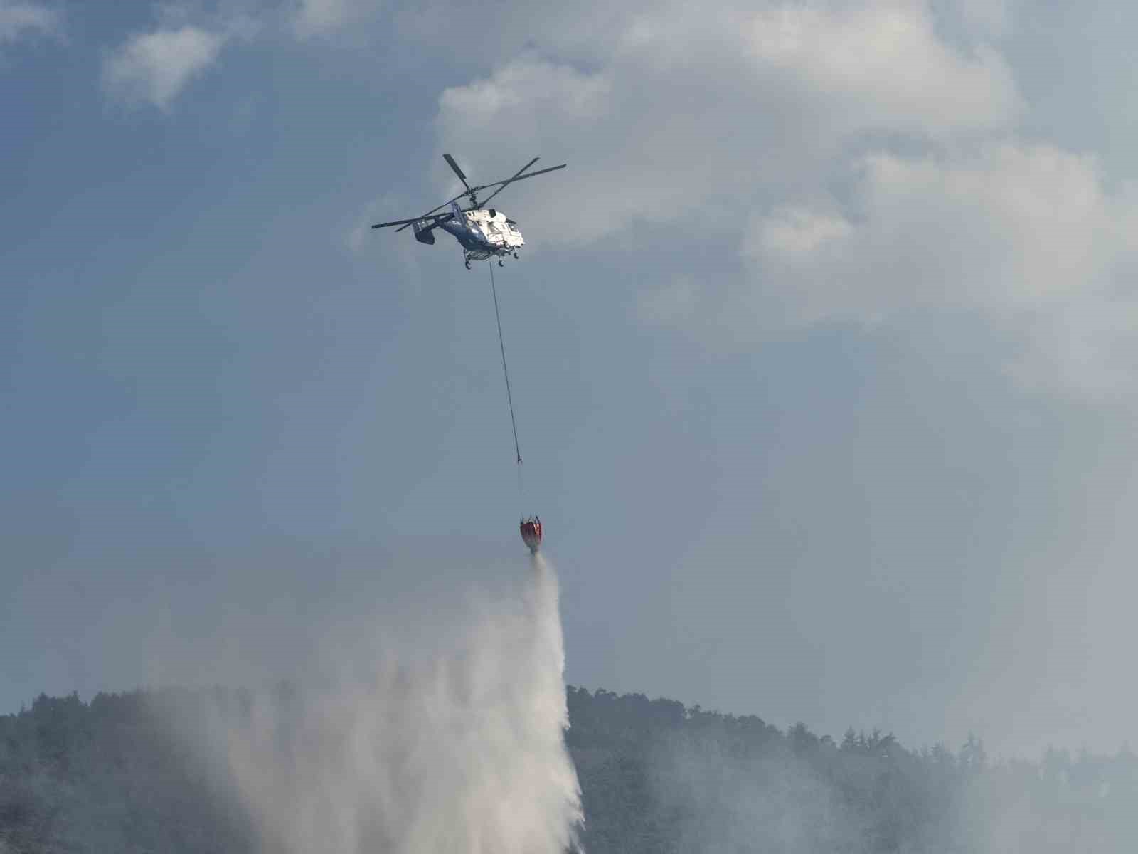 Taraklı’daki orman yangınına ilişkin gözaltına alınanlar serbest bırakıldı