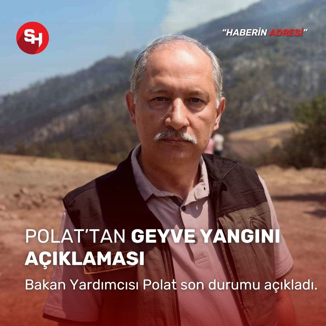 Bakan Yardımcısı Polat, Geyve yangınındaki son durumu açıkladı