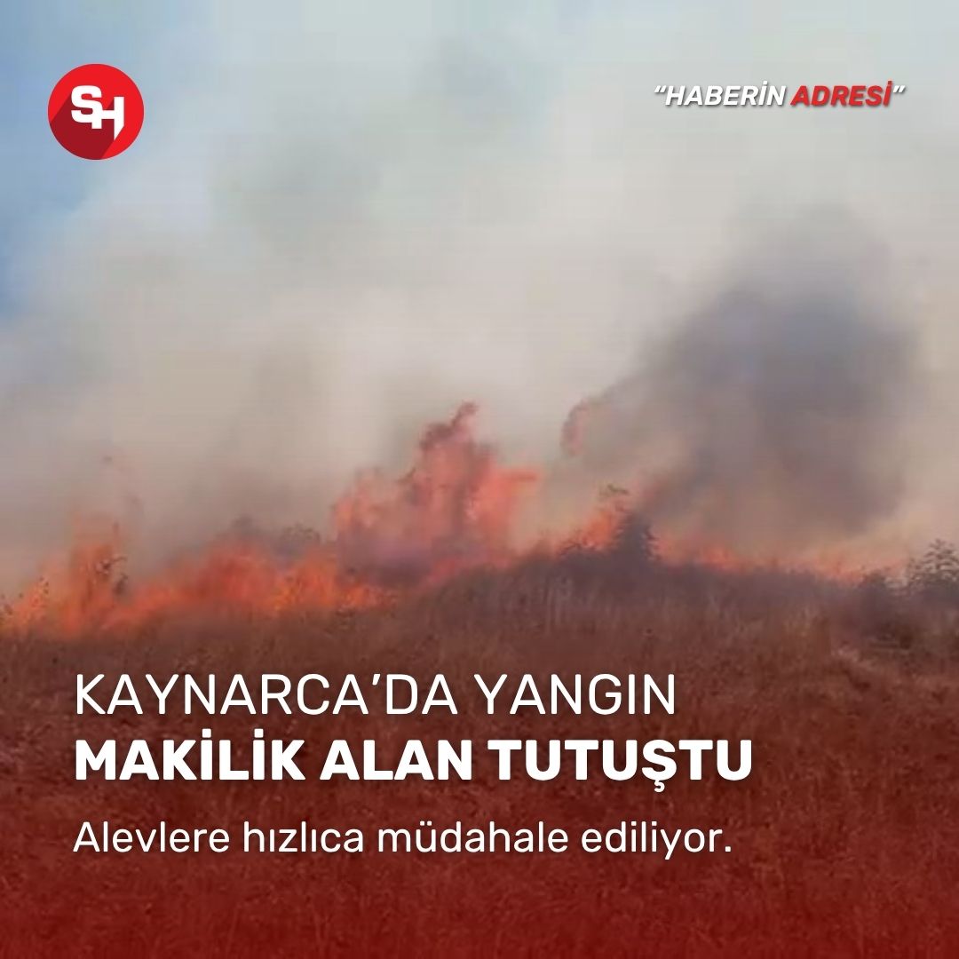 Sakarya Kaynarca’da makilik alanda yangın çıktı