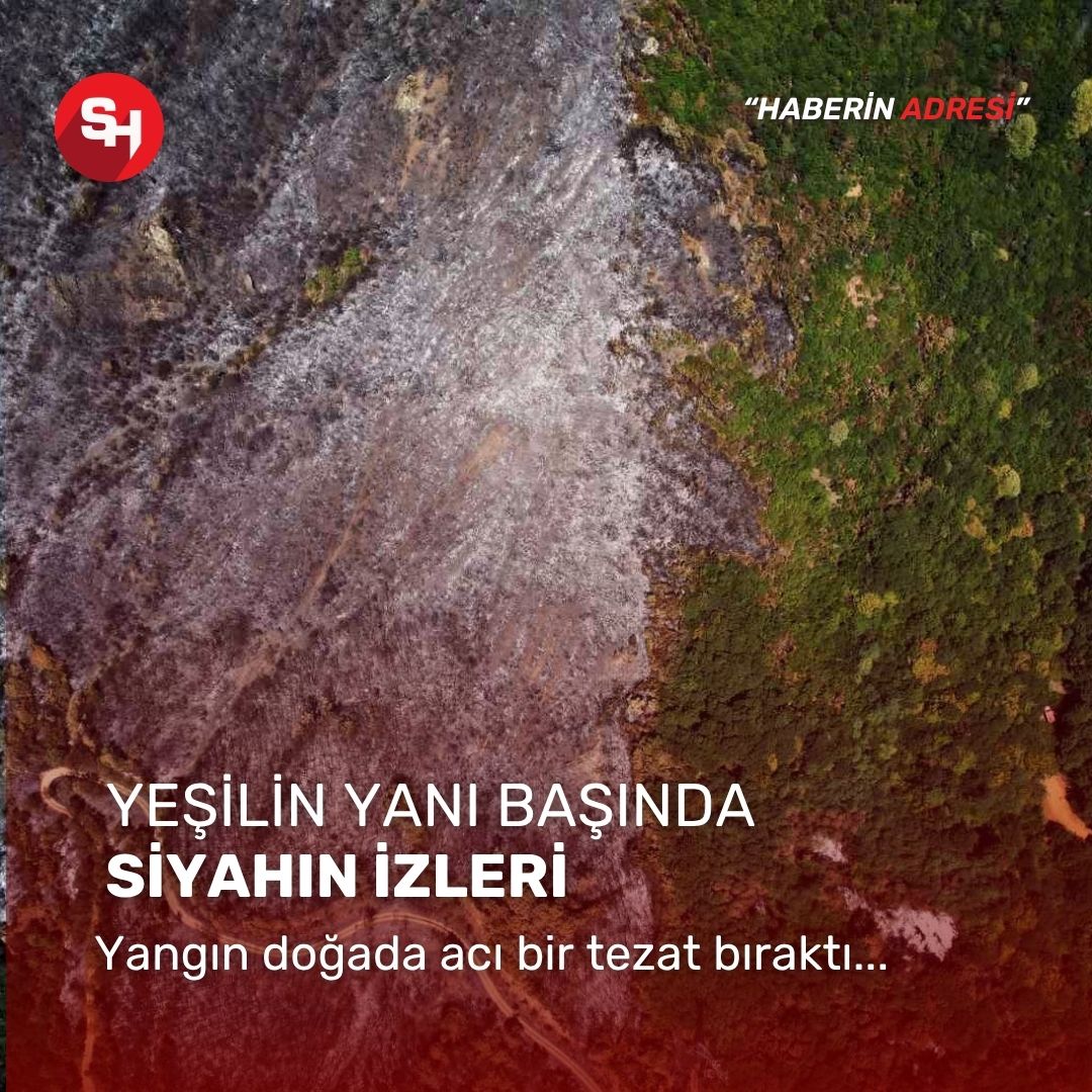 Yangın sonrası acı tablo: ’Yeşil’ ve ’siyah’ yan yana