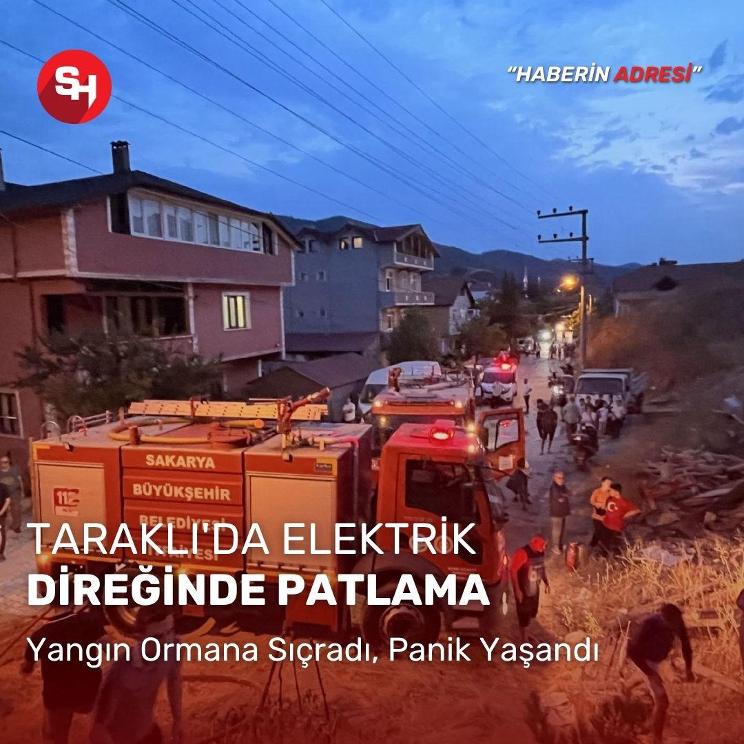 Taraklı'da Elektrik Direğinde Patlama: Yangın Ormana Sıçradı, Panik Yaşandı