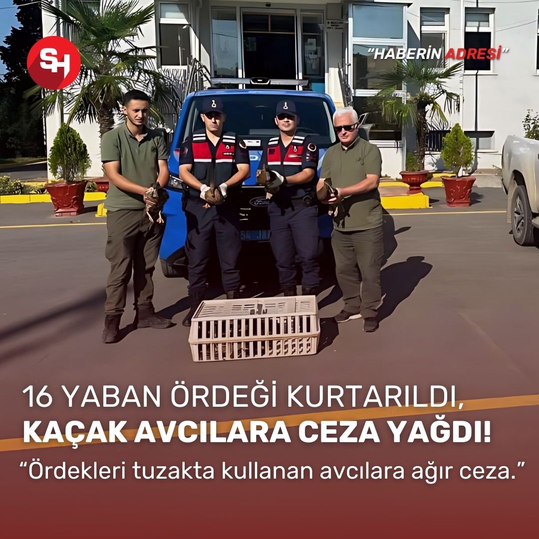 Yeşilbaşlı yaban ördeklerini avda mühre olarak kullanan avcılara 64 bin lira ceza