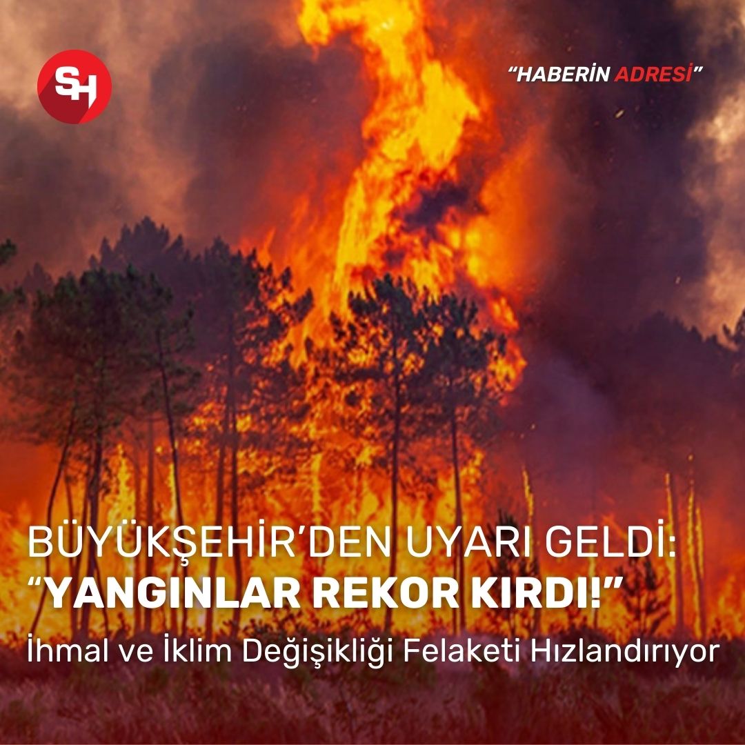 Sakarya’da yangın vakaları bir yılda yüzde 32 arttı