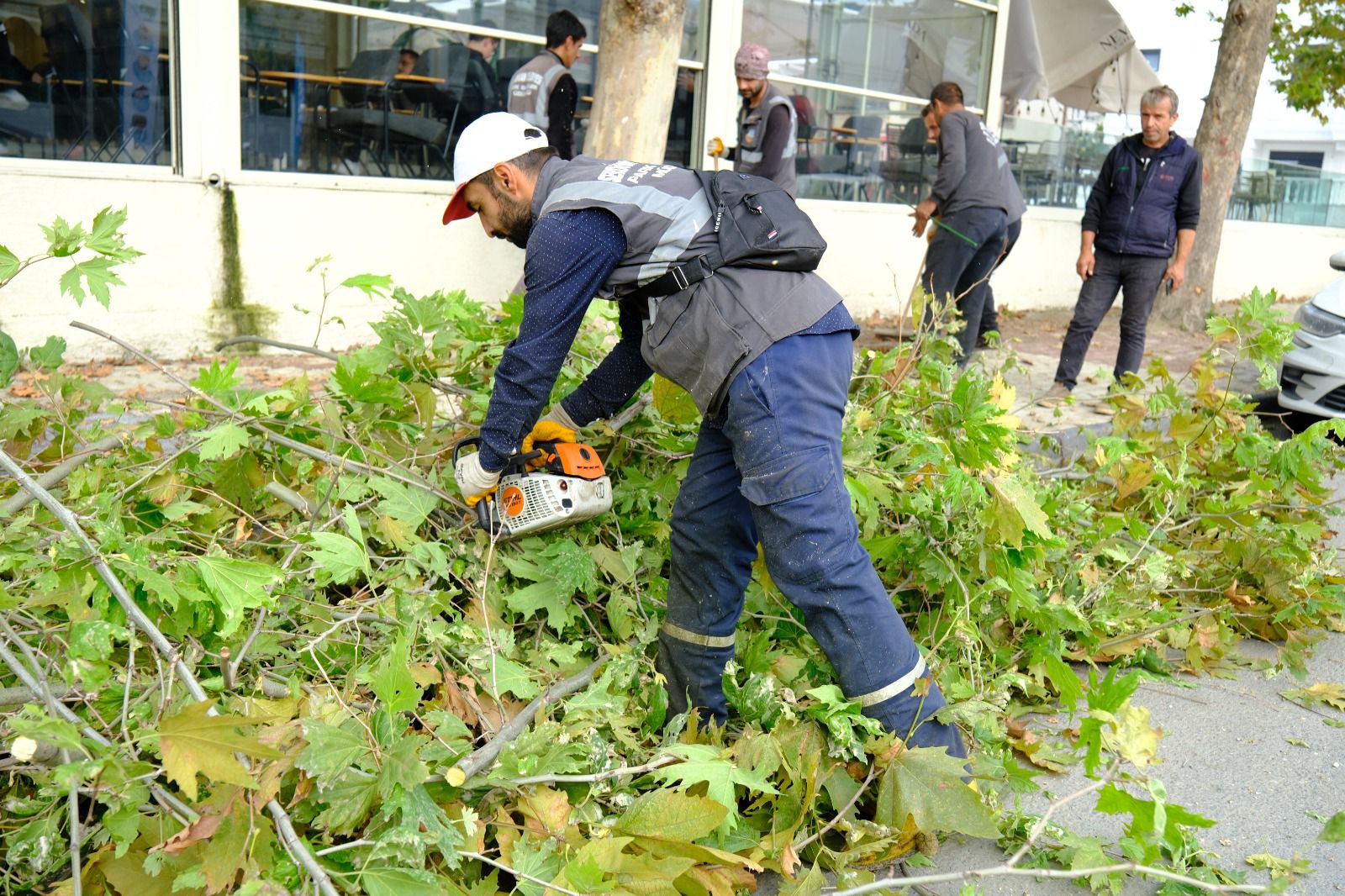 Safrancık Sokak’ta Yeşil Alanlar Yenilendi