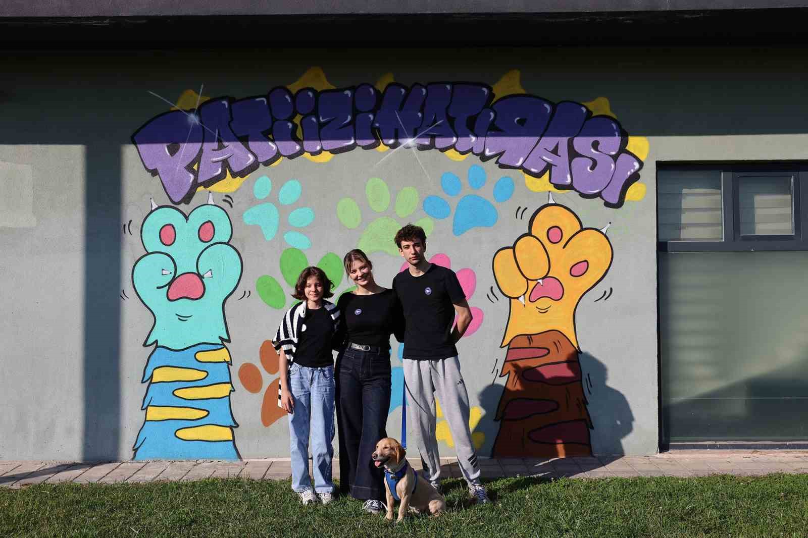 Sokaktan sıcacık yuvaya: ‘Pati İzi’nde 500 can dost yeni hayatına kavuştu