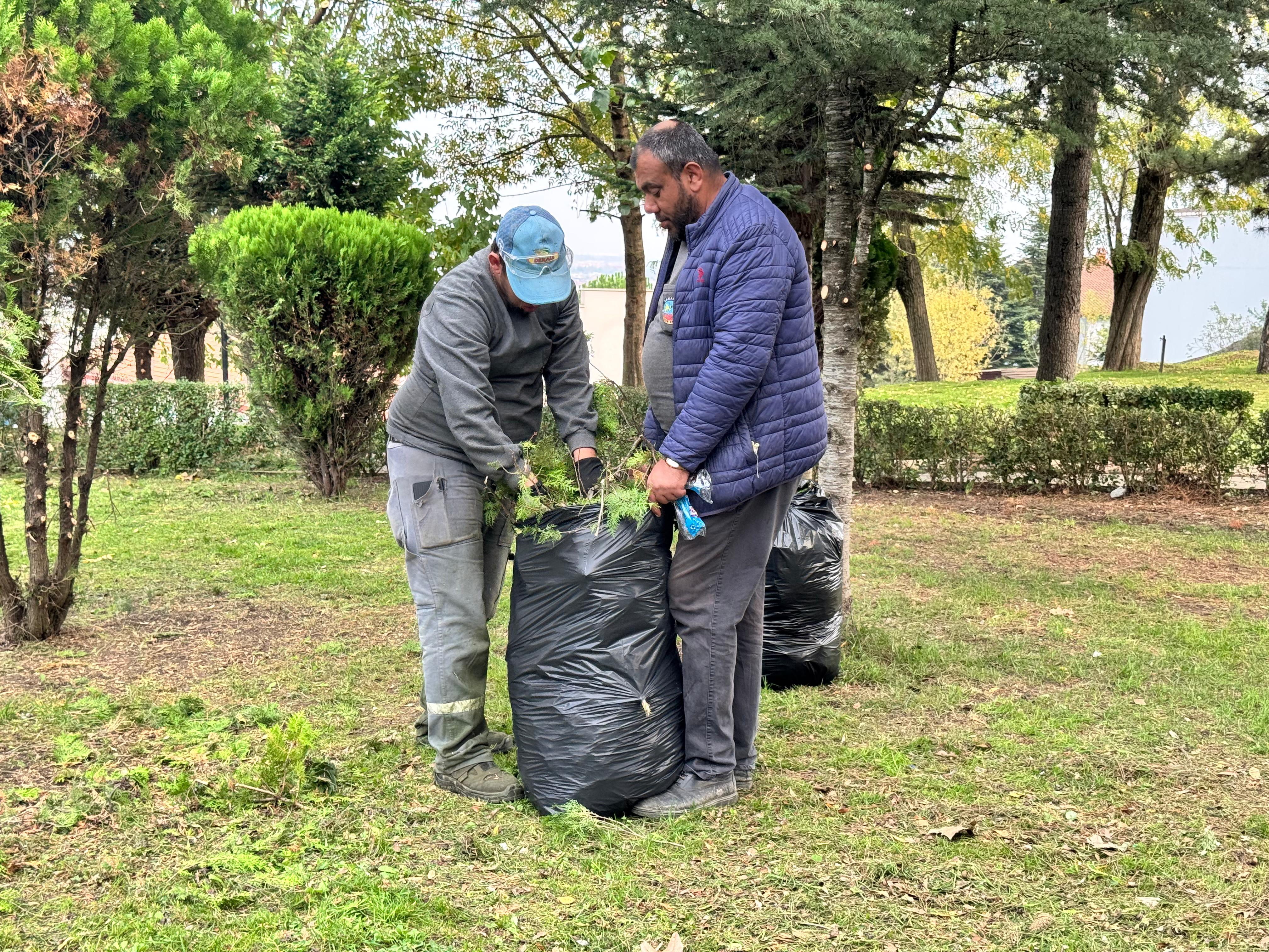 Serdivan'da Yeşil Alan Bakım Çalışması