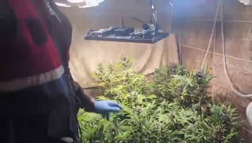 Evini uyuşturucu imalathanesine çevirmiş