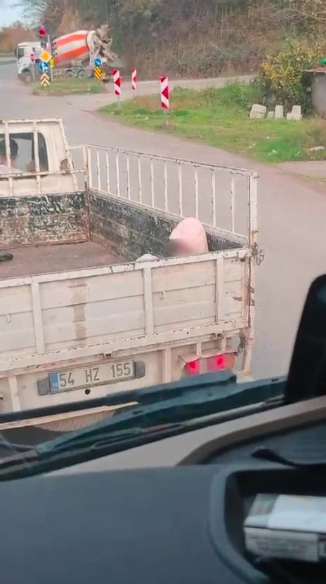 Soğuk havada yürek sızlatan yolculuk