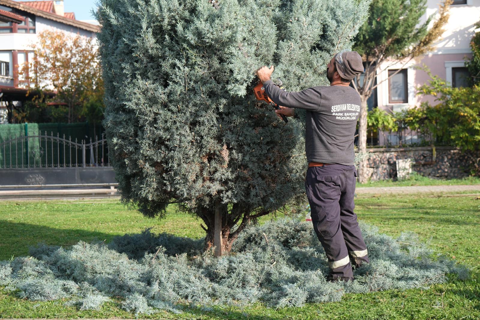 Serdivan’da Çevre Düzenleme Çalışmaları Aralıksız Sürüyor