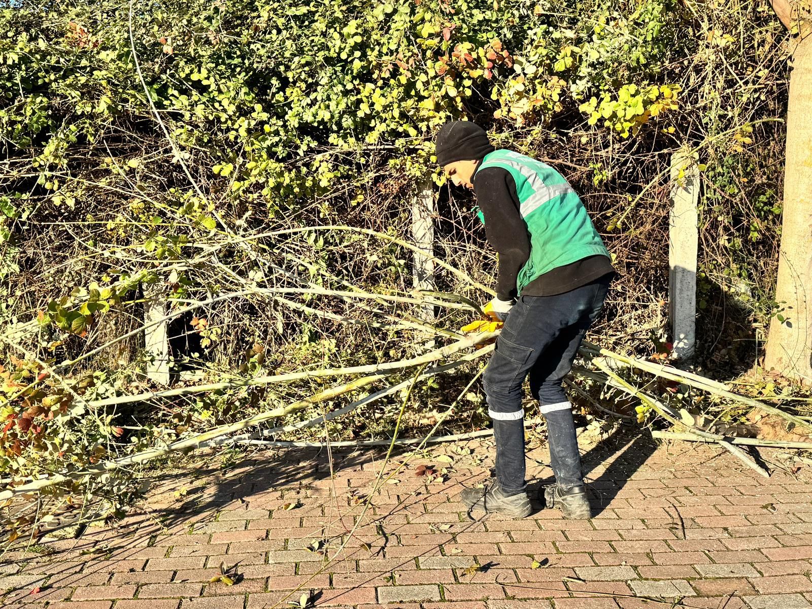 Serdivan’da Yeşil Alanlara Düzenli Bakım