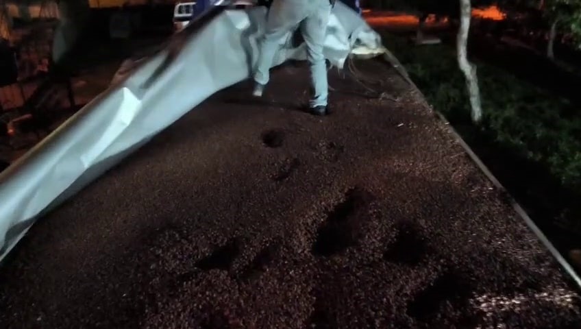 Fındıkla kamufle edilen tırdan 30 milyonluk kaçak makaron çıktı: 4 gözaltı