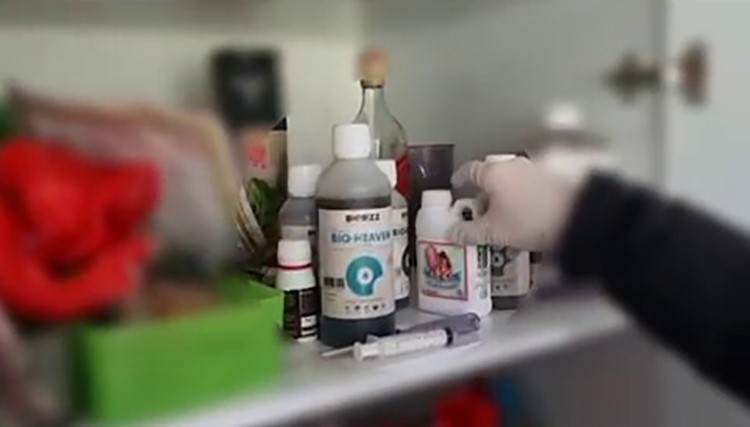 Evin bir odasını uyuşturucu serasına çeviren şüphelileri polis yakaladı