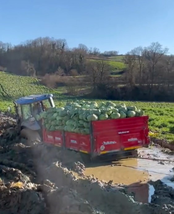 Çiftçinin zor anları