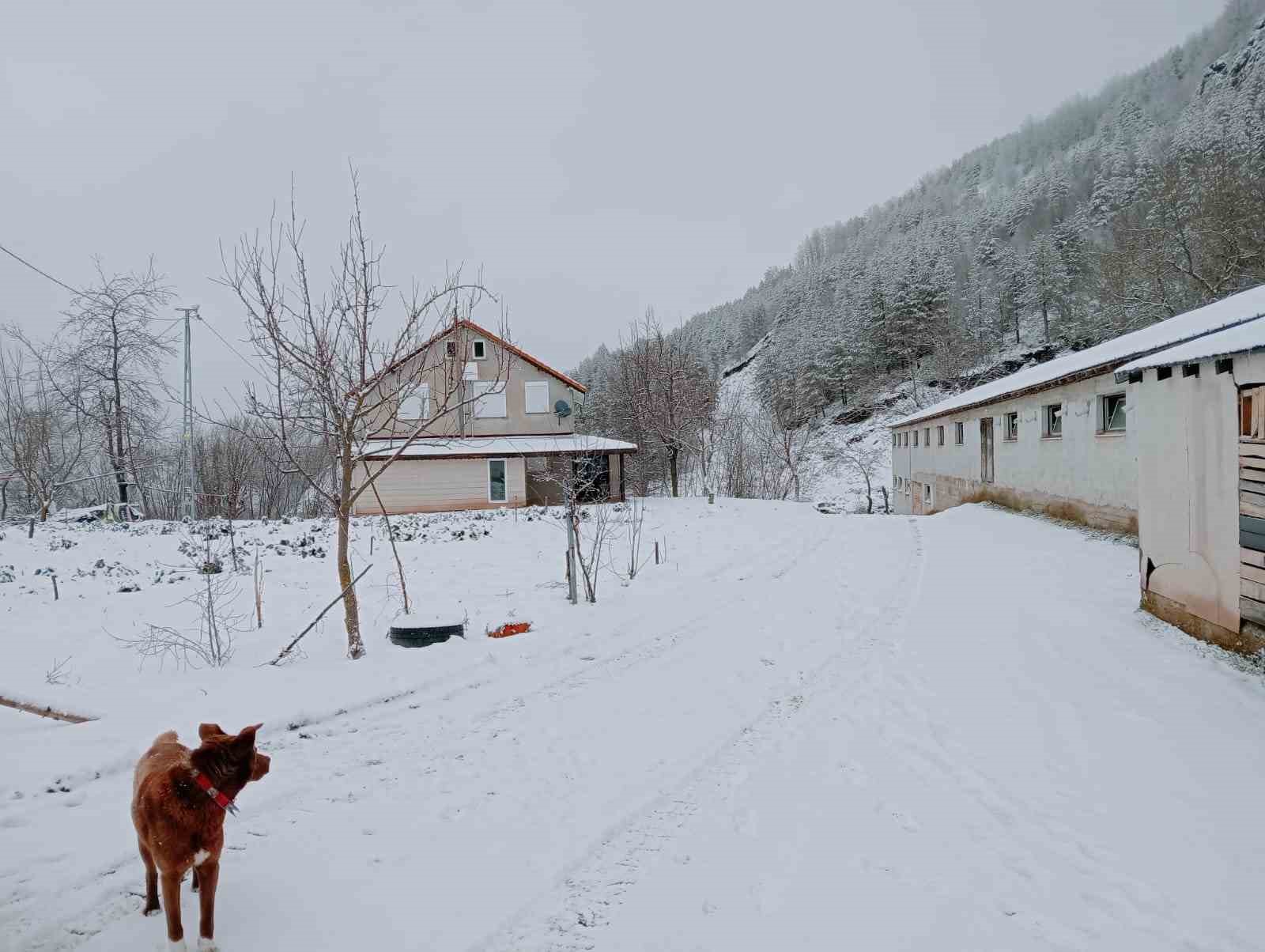 Sakarya’da yüksek kesimlerde kar, şehir merkezinde yağmur etkili oldu