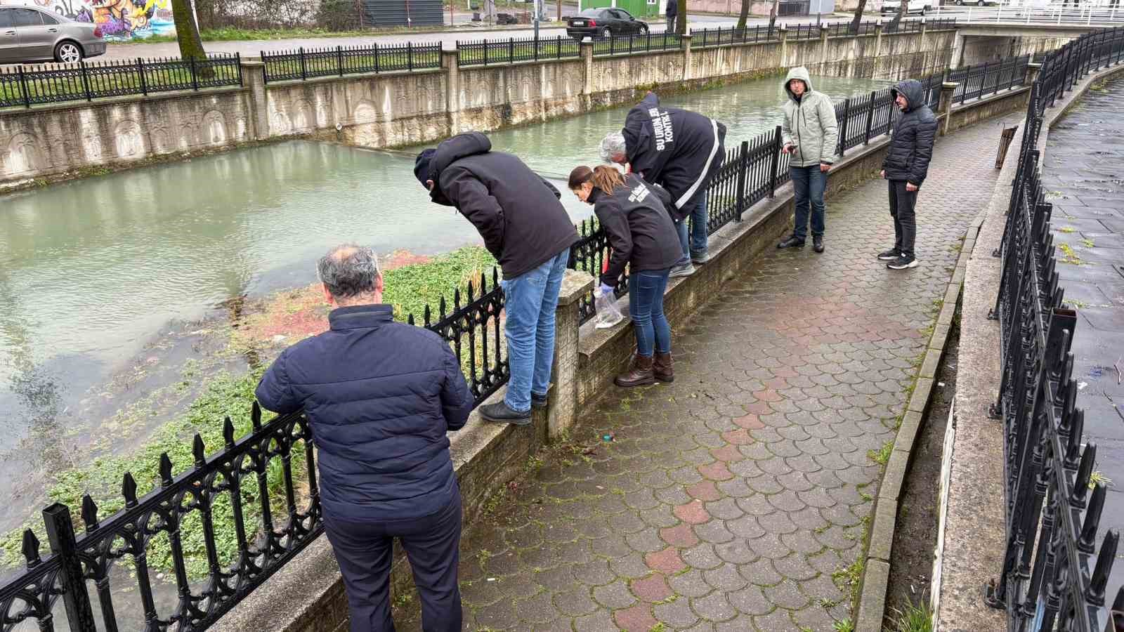 Uludere Çayı’nda binlerce ölü balık bulundu: Ekipler seferber oldu