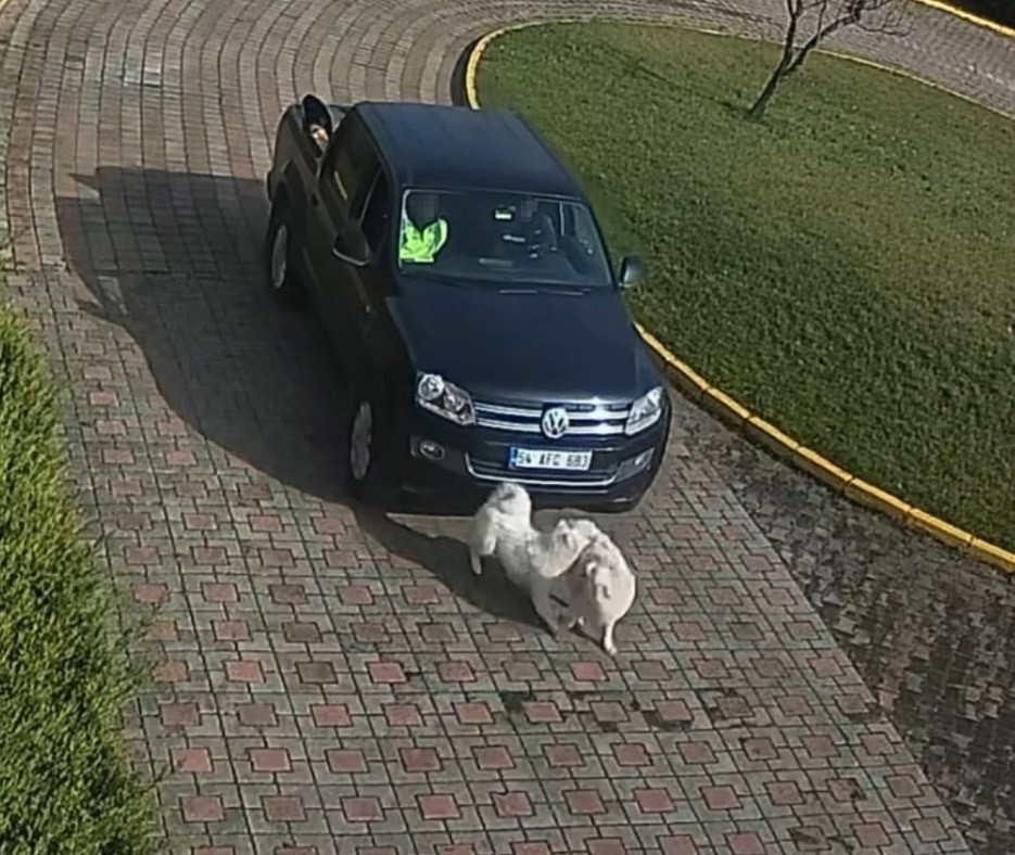 Valilik Konağı’ndaki 