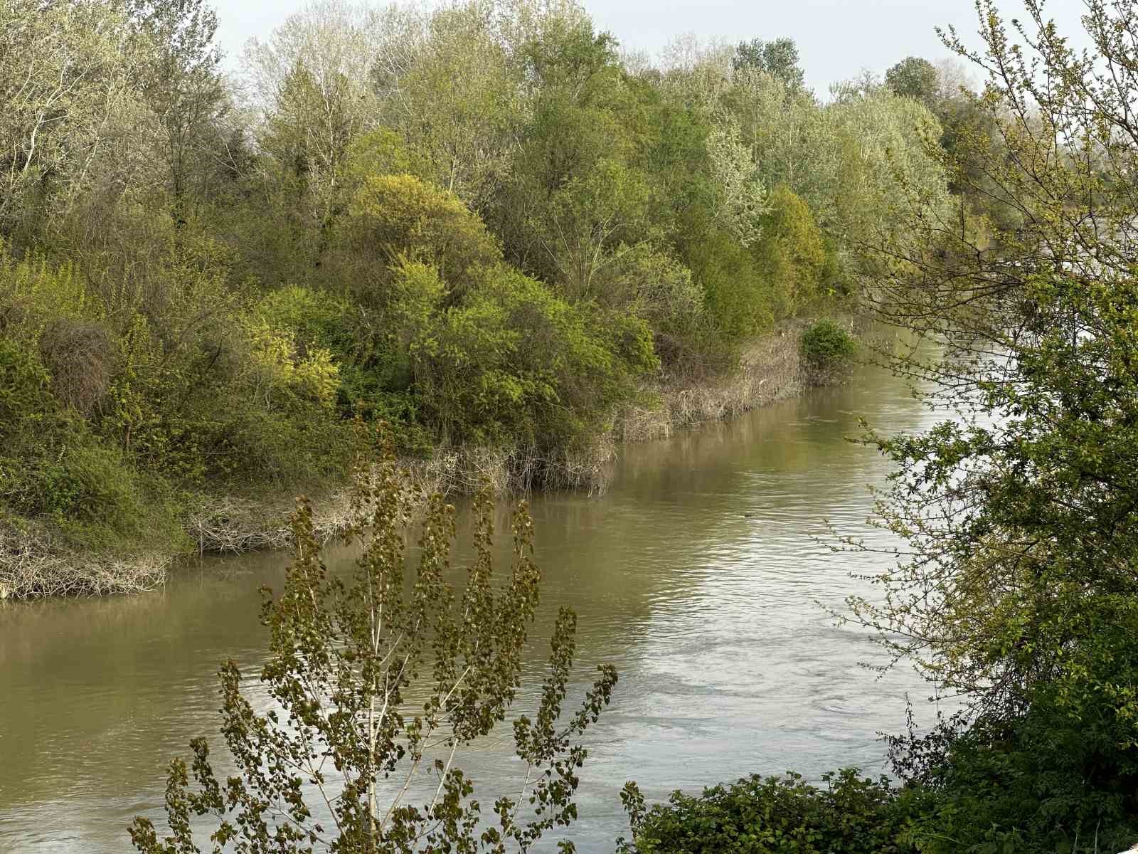 Sakarya Nehri’ne düşen çocuk didik didik aranıyor